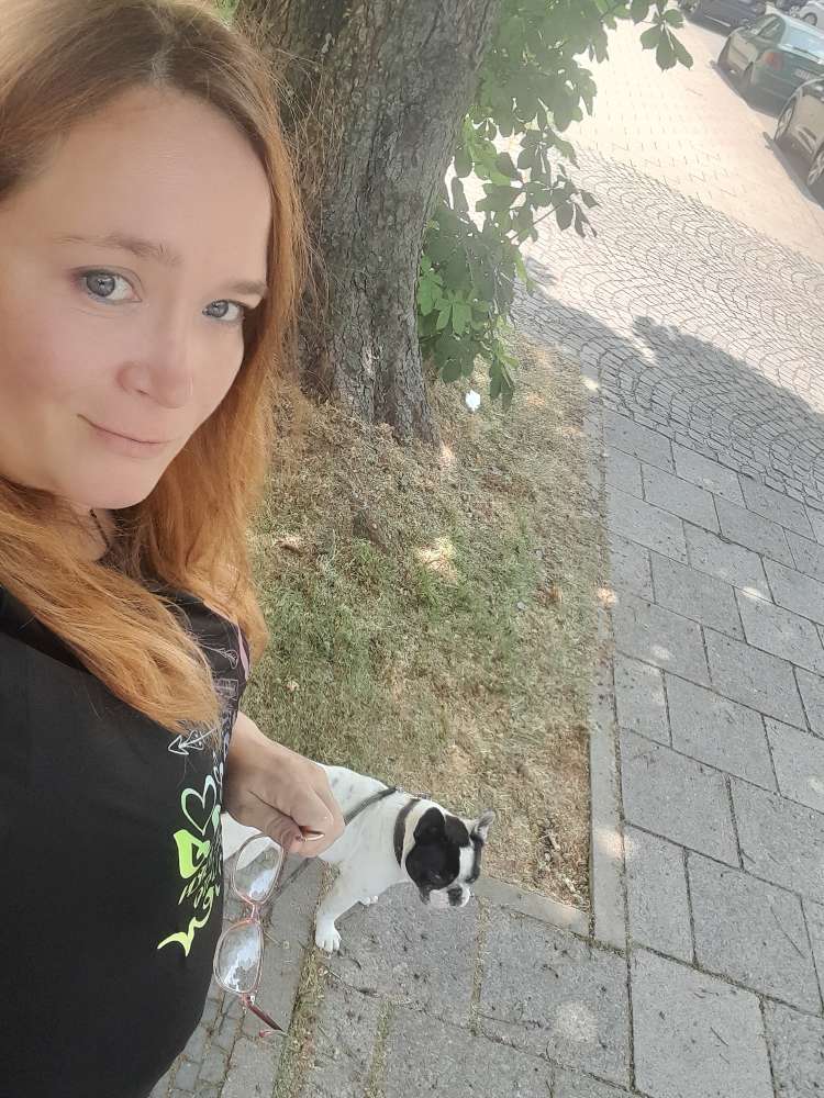 Hundetreffen-Französische Bulldogge Treffen-Profilbild