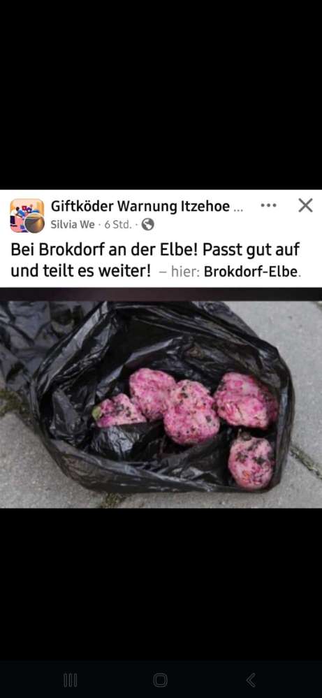 Giftköder-Giftköder-Profilbild