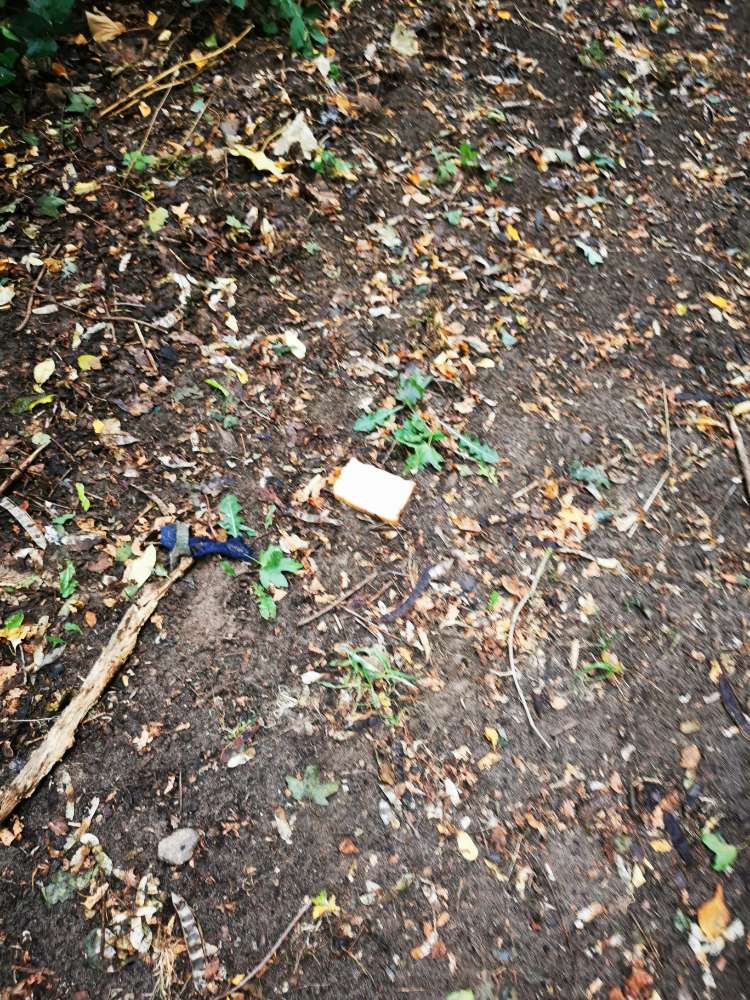 Giftköder-Ausgelegter Leberkäse-Profilbild