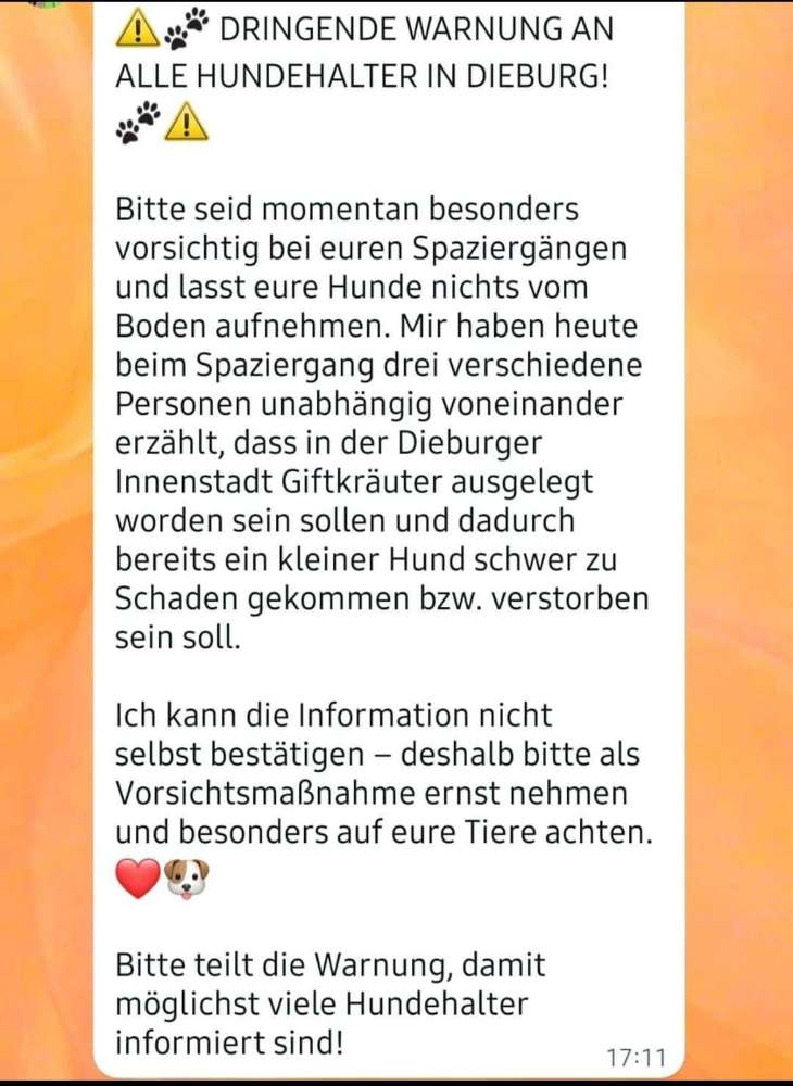 Giftköder-Giftköder-Profilbild