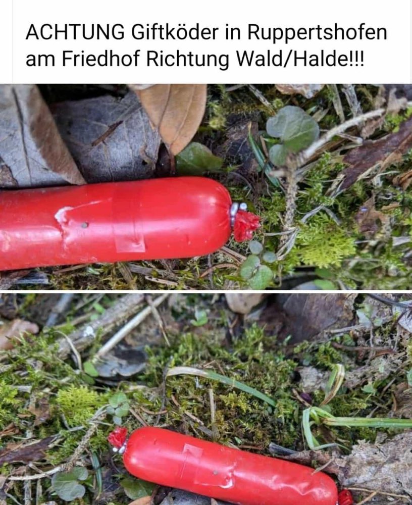 Giftköder-Giftköder-Profilbild