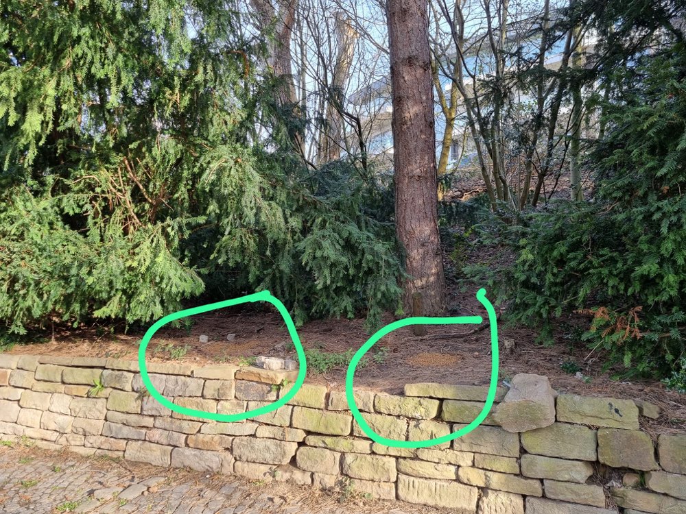 Giftköder-Hundefutter im Wiesental-Profilbild