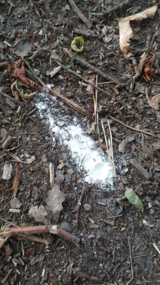 Giftköder-Weißes Pulver-Profilbild