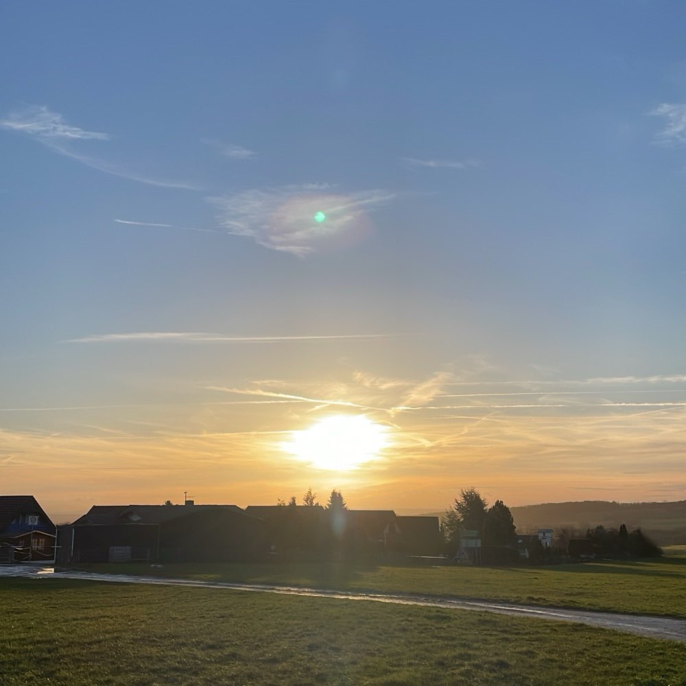 Hundetreffen-Spaziergang Segelflugplatz Weper-Profilbild
