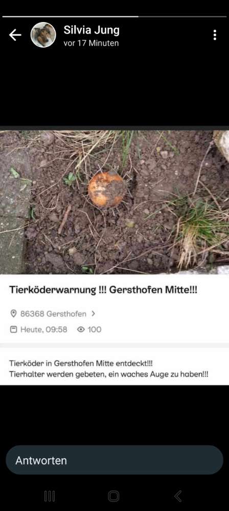 Giftköder-Giftköder-Profilbild