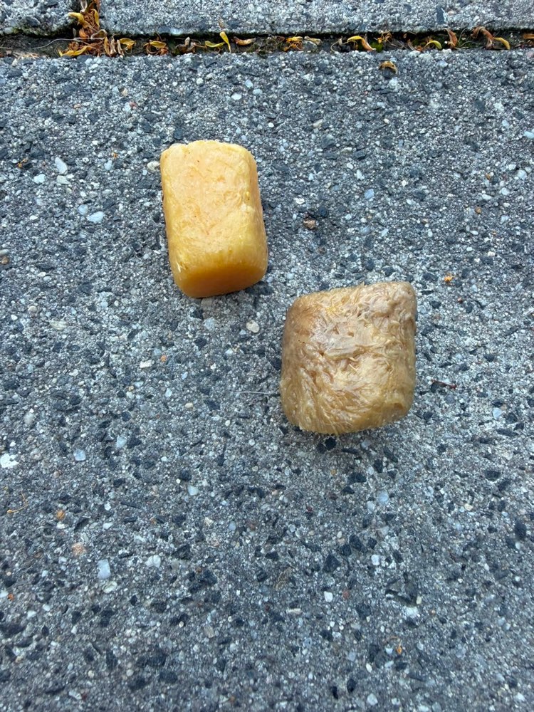 Giftköder-Giftköder-Profilbild