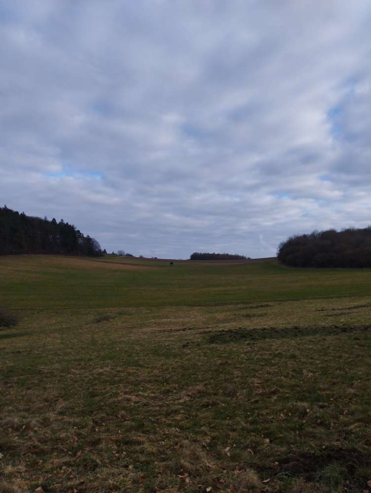 Hundetreffen-Gemütliche Runden-Profilbild