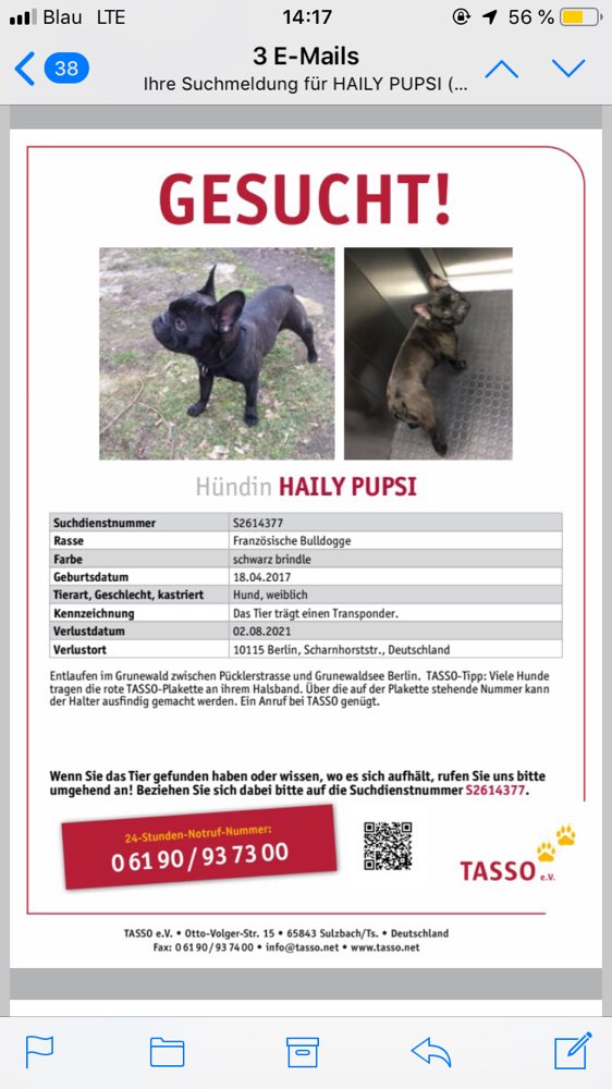 Suchmeldung-Haily-Profilbild