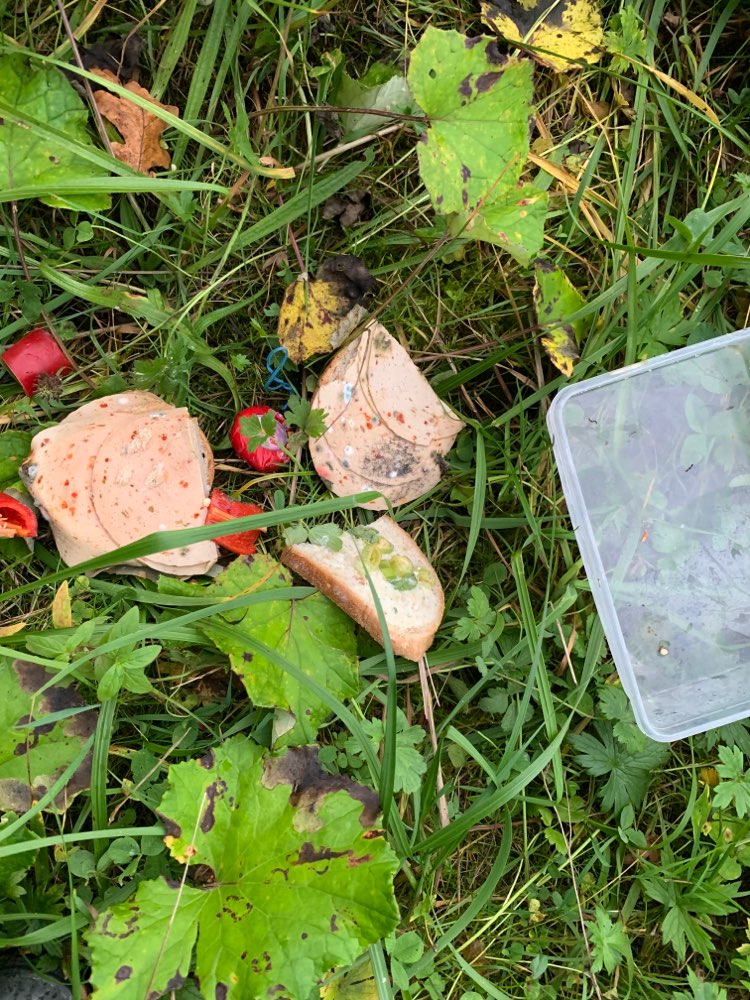 Giftköder-Achtung !!!Essensreste verschimmelt !!!!-Profilbild