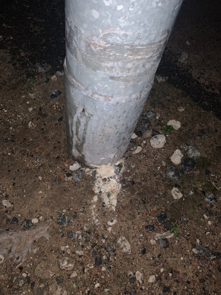 Giftköder-Weißes Pulver an Laternen und Bäumen-Profilbild