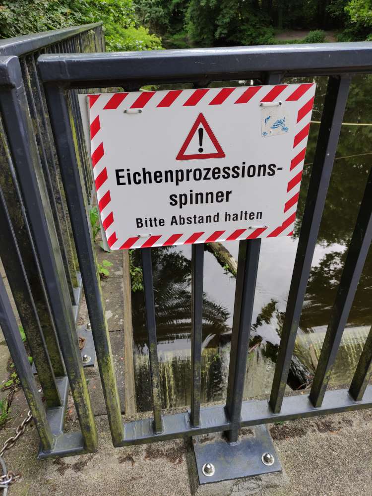 Giftköder-Eichenprozessionsspinner-Profilbild