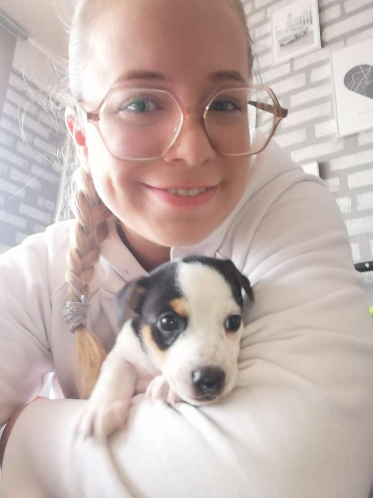 Hundetreffen-Welpe treffen lokstedt und Umgebung-Profilbild