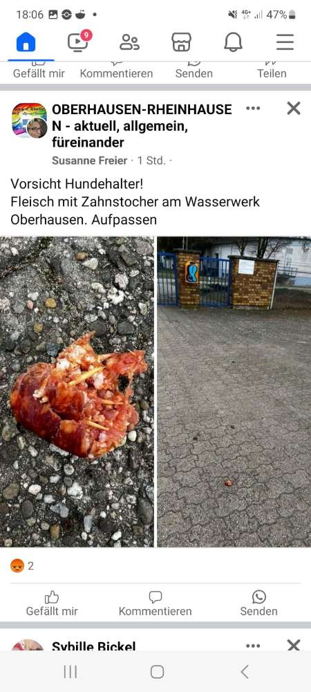 Giftköder-Würstchen mit Zahnstocher-Profilbild
