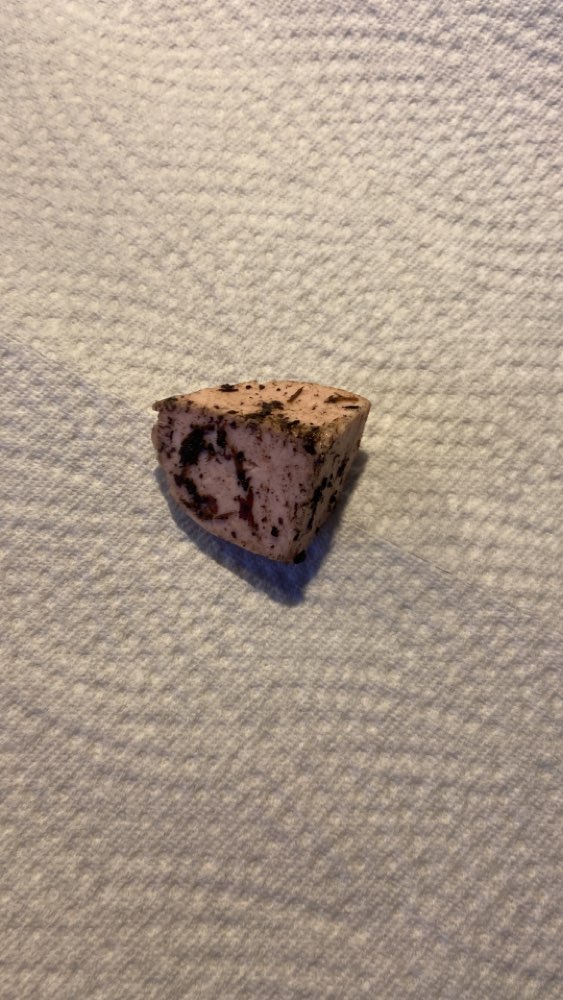 Giftköder-Fleischwurst im Beet versteckt-Profilbild