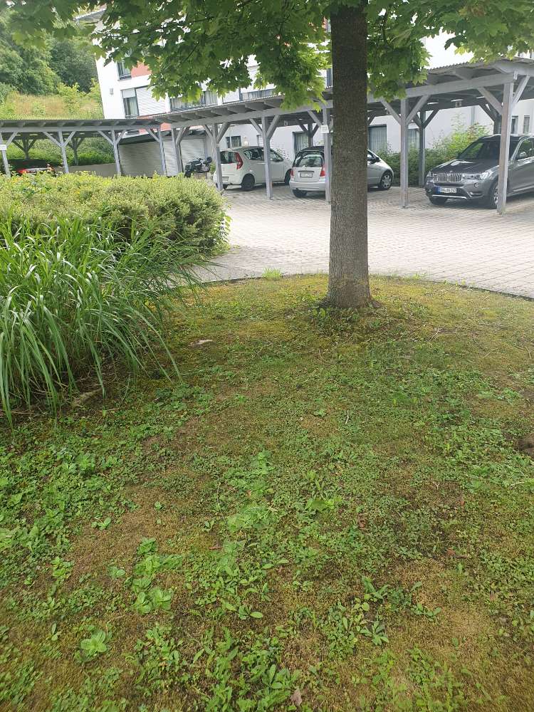 Giftköder-Warnung eventuell Giftköder-Profilbild