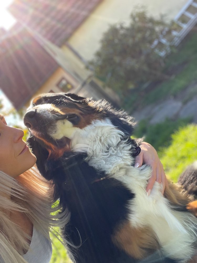 Hundetreffen-Gassi und spielfreunde-Profilbild