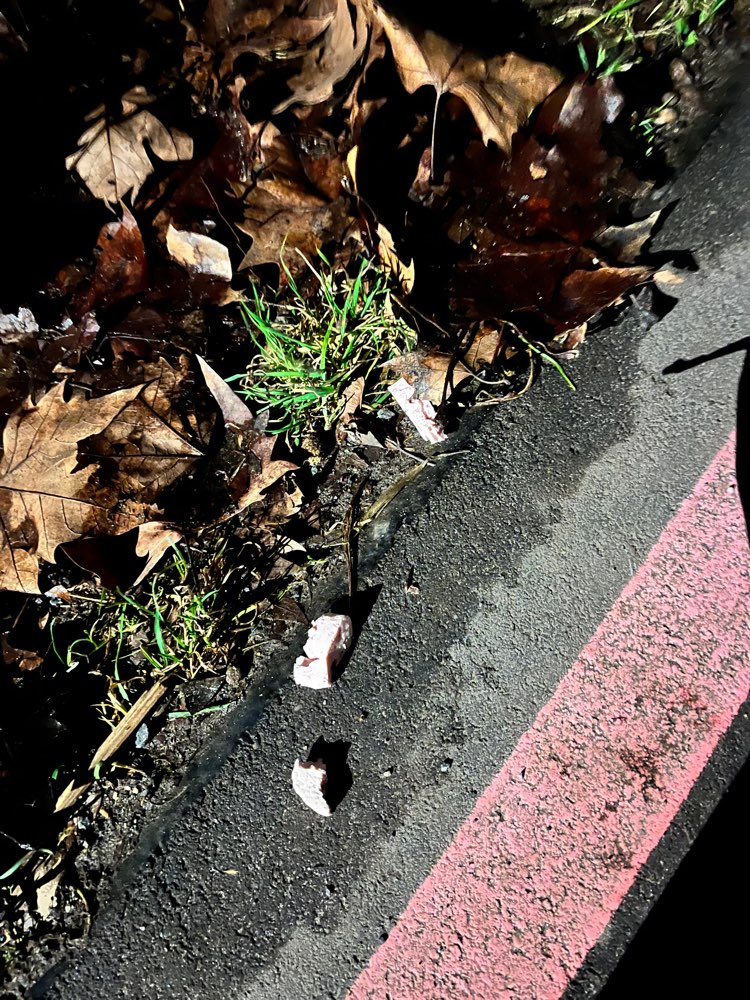 Giftköder-Giftköder-Profilbild