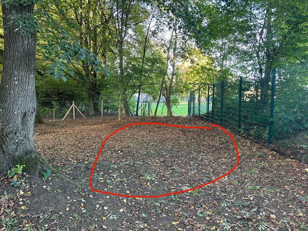 Giftköder-Glasscherben in der Hundefreilauffläche-Profilbild