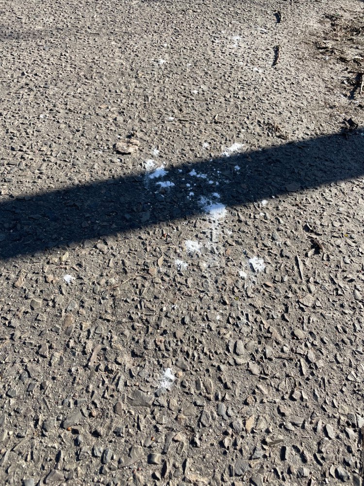 Giftköder-Weißes Pulver-Profilbild