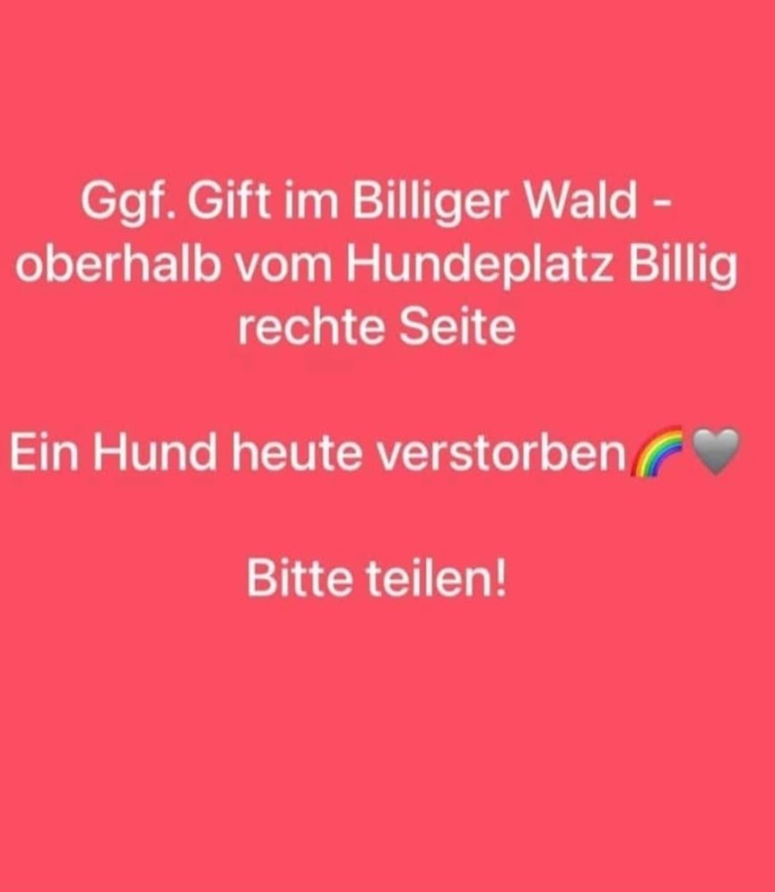 Giftköder-Ggf. Gift im Billiger Wald-Profilbild