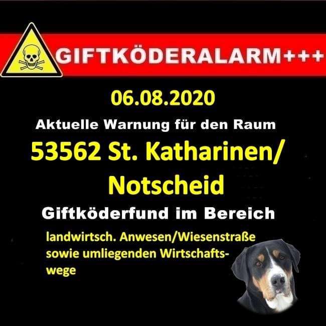 Giftköder-Giftköder-Profilbild