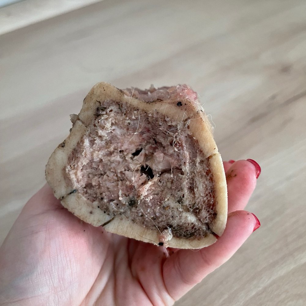 Giftköder-Giftköder-Profilbild