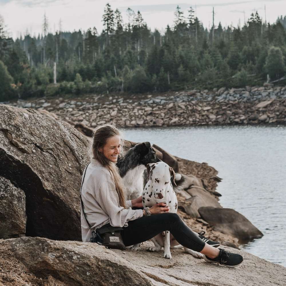 Hundetreffen-Begegnungstraining-Profilbild