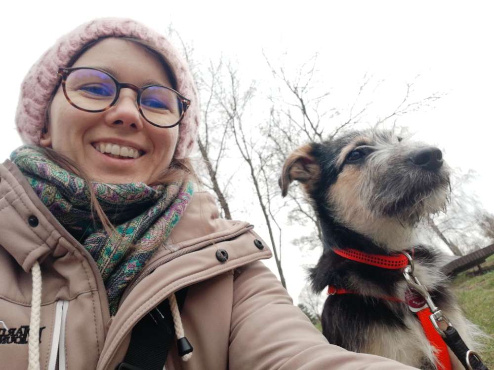 Hundetreffen-Gemeinsame Spaziergänge durch die Stadt-Profilbild