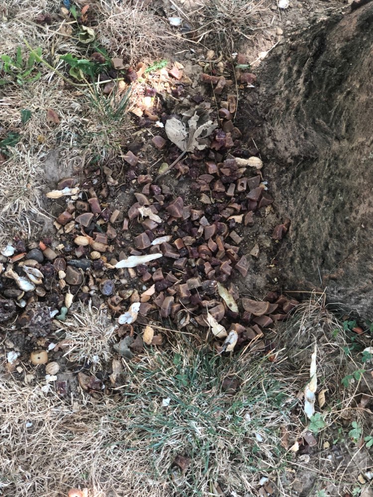Giftköder-Super viel Fleischwurst am Baum-Profilbild
