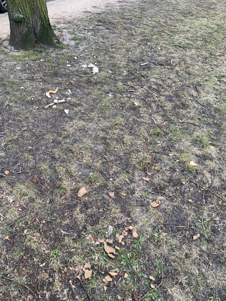 Giftköder-Giftköder-Profilbild