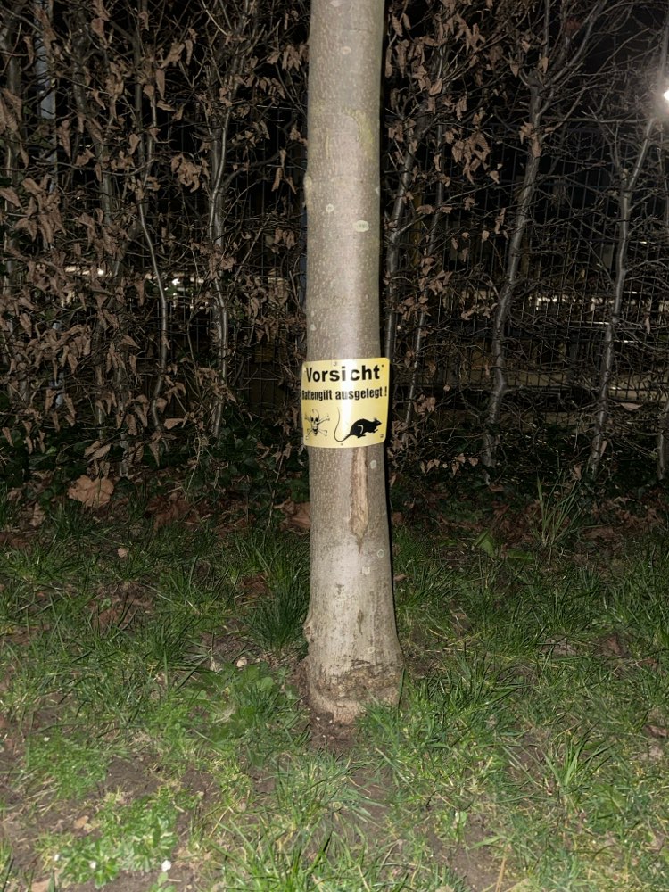 Giftköder-Rattengift-Profilbild