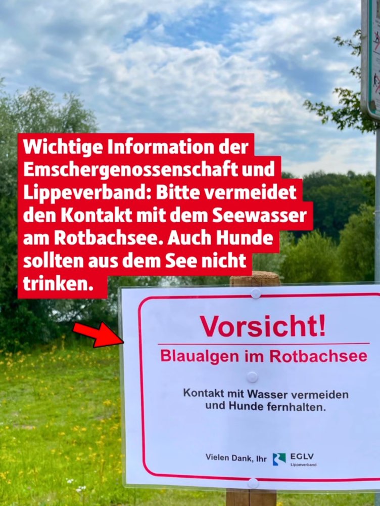 Giftköder-Blaualgen-Profilbild