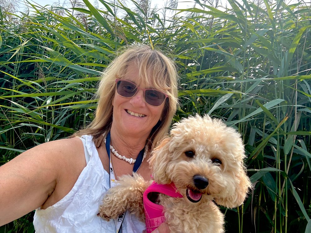 Hundetreffen-Sulzbach-Rosenberg-Profilbild