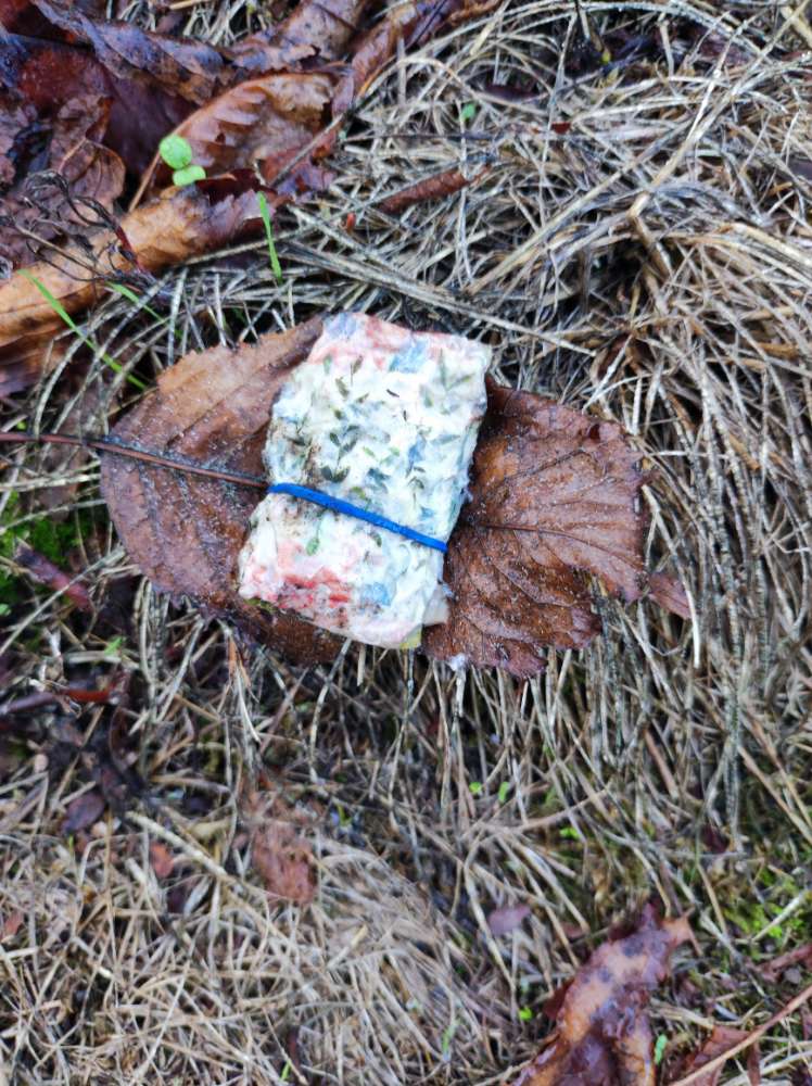 Giftköder-Möglicherweise Giftköder-Profilbild