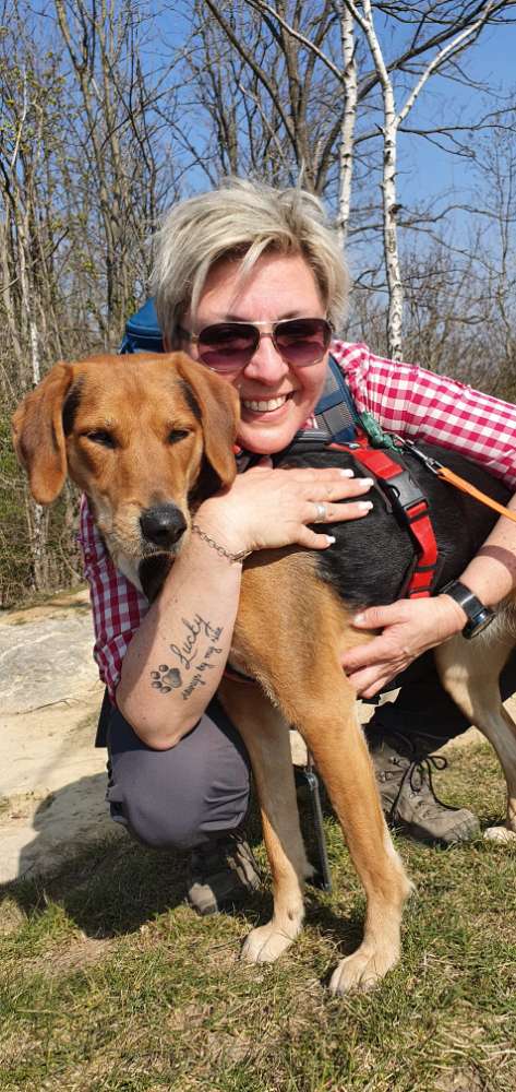 Hundetreffen-Spazier-, und Spielkumpel gesucht-Profilbild