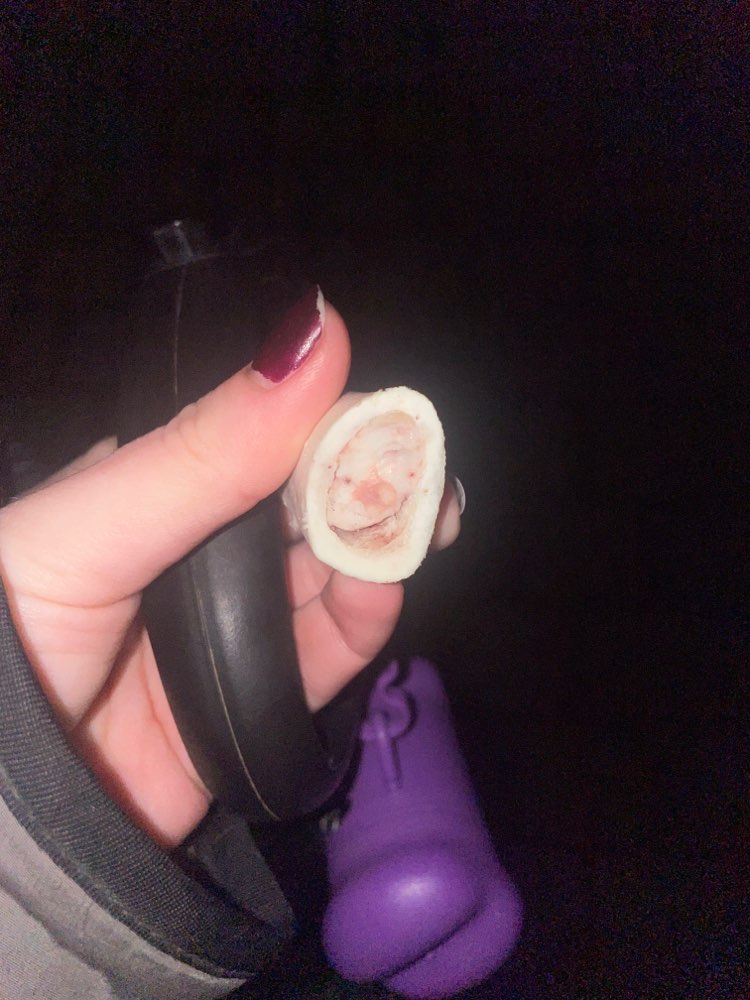 Giftköder-Evtl. Giftköder-Profilbild