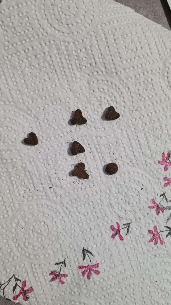 Giftköder-Leckerlis an Straßenschild versteckt-Profilbild