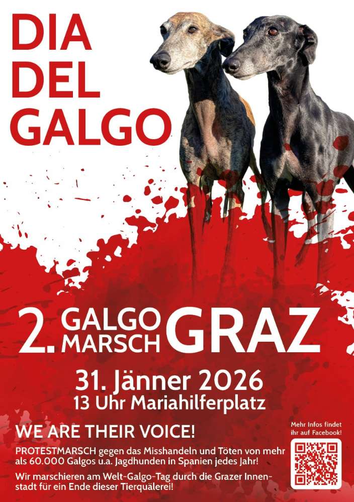 Hundetreffen-2. Grazer Galgomarsch-Profilbild