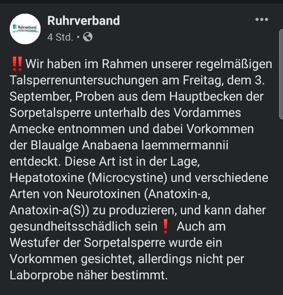 Giftköder-Blaualgen in der Sorpe-Profilbild