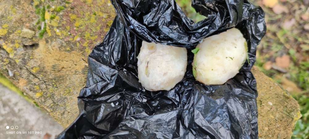 Giftköder-Vermutlich Giftköder-Profilbild