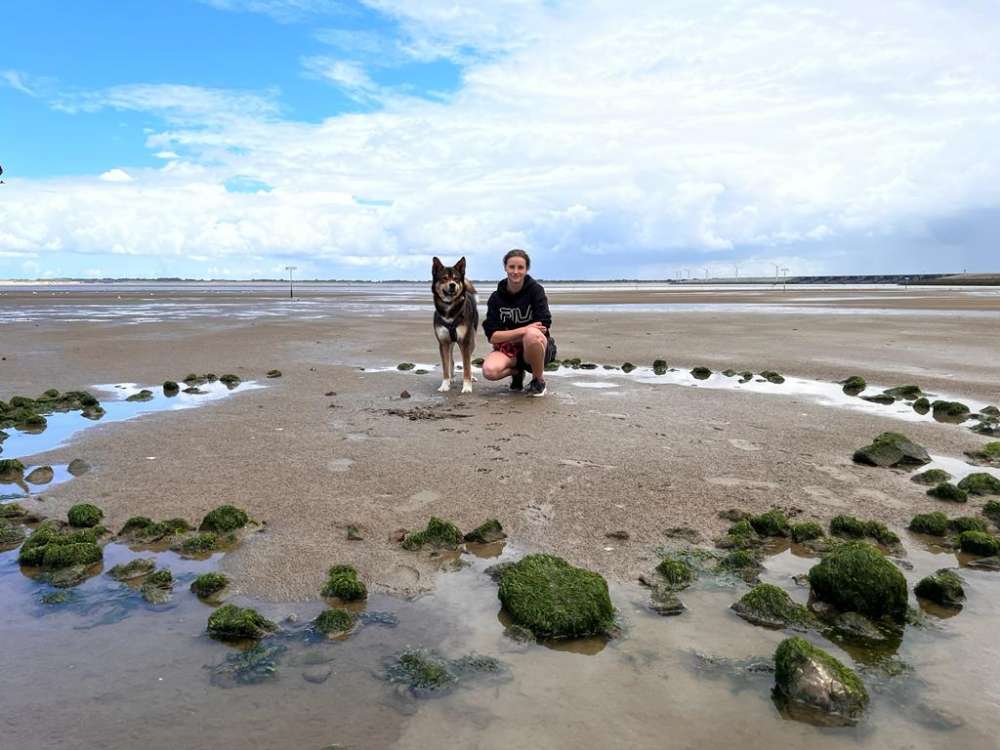 Hundetreffen-Gassirunde, in Sennestadt,  am Wochenende-Profilbild