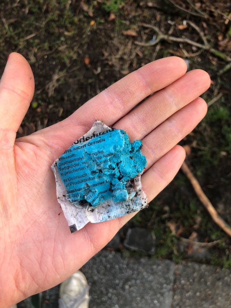 Giftköder-Rattengift-Profilbild