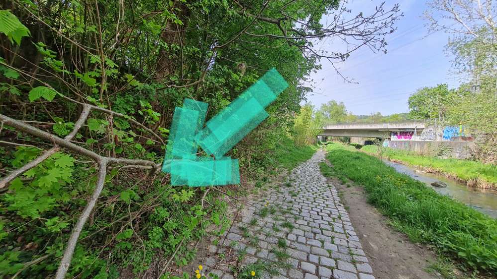 Giftköder-Giftbox am Baum festgemacht-Profilbild