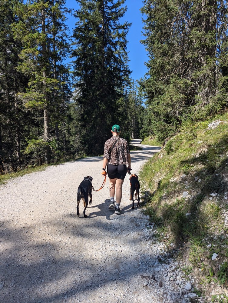 Hundetreffen-Training - suche Menschen mit Hund-Profilbild