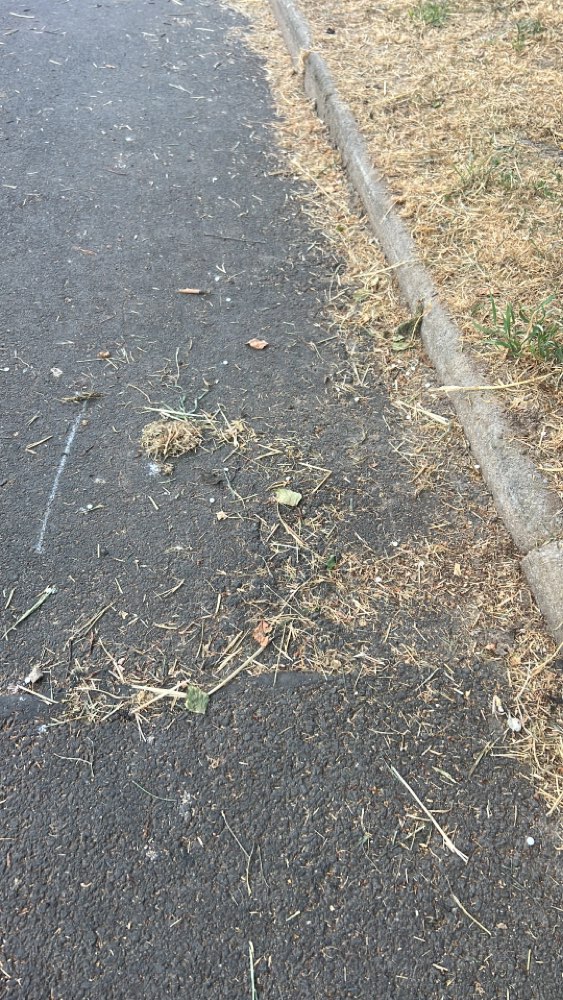 Giftköder-Süßstoff o.ä (kleine weiße Tabletten)-Profilbild