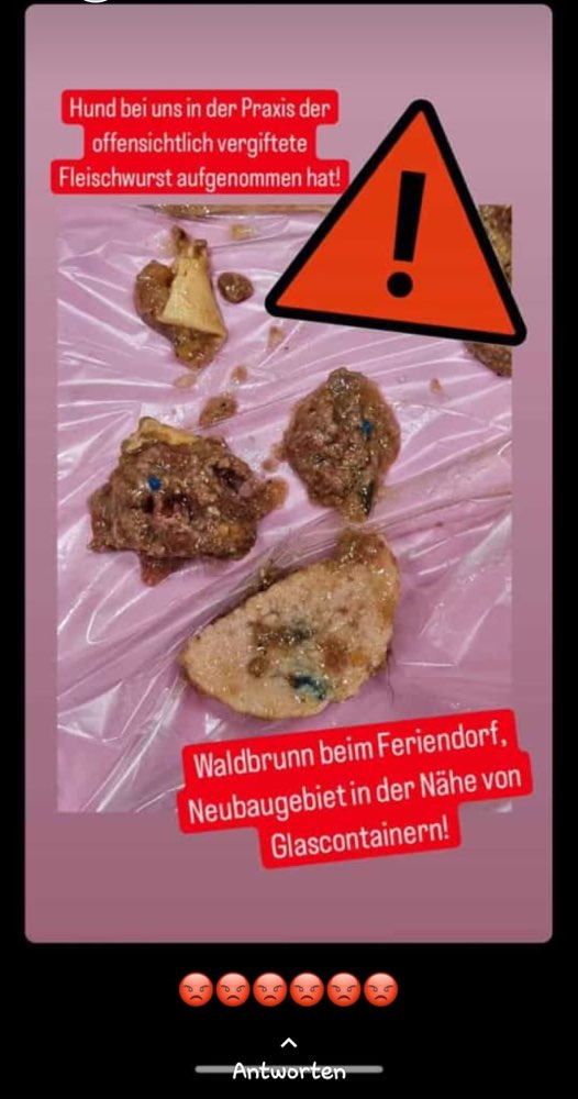 Giftköder-Giftköder-Profilbild