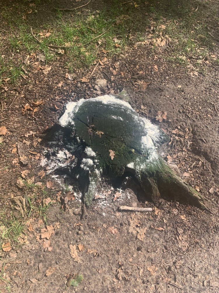 Giftköder-Weißes Pulver-Profilbild