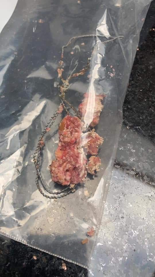 Giftköder-Giftköder-Profilbild