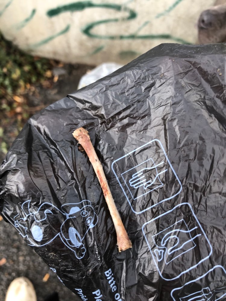 Giftköder-Hühnerknochen-Profilbild