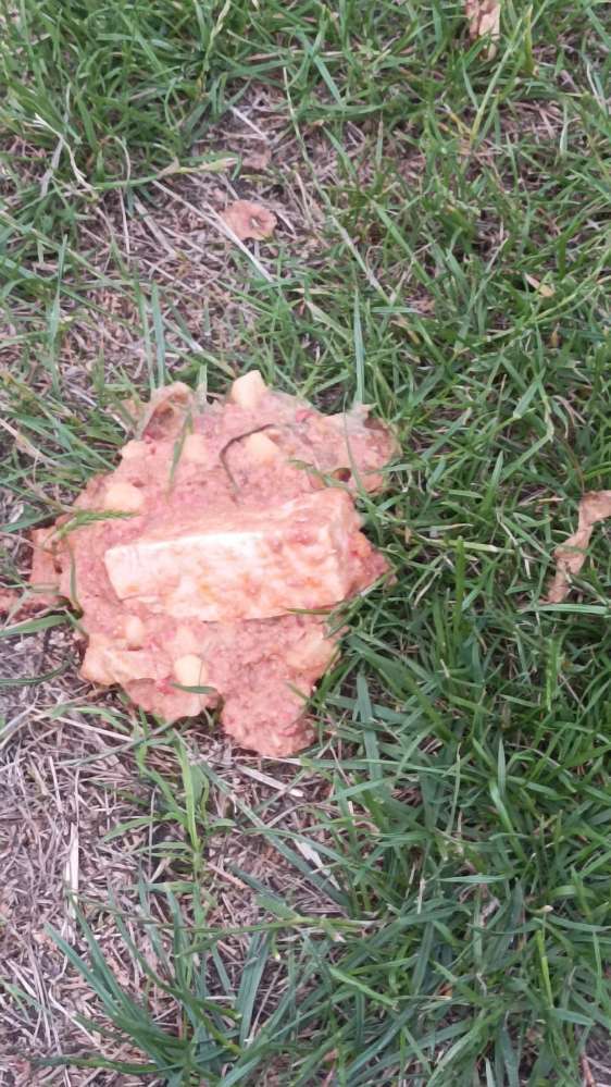 Giftköder-Mögliche Giftköder-Profilbild